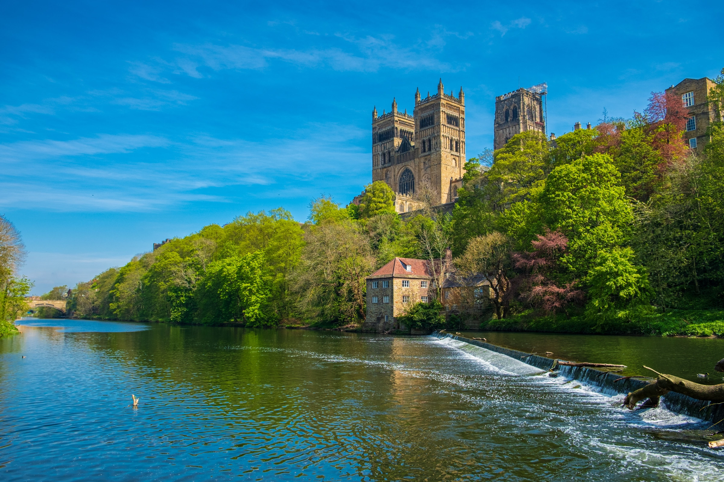 Durham[1].webp